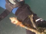 >2004-08-31_Plongee_TravauxNE