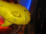 >2005-09-10_Boudrysia-Stand-Planet