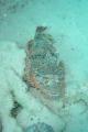 2004-06_MarsaAlam_Marco_004.JPG