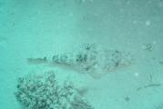 2004-06_MarsaAlam_Marco_007.JPG