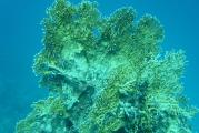 2004-06_MarsaAlam_Marco_061_m.jpg