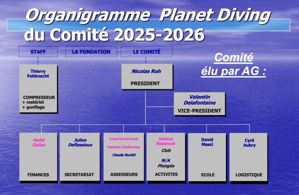 Organigramme Comité 2025-2026